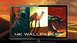Starsand - Digital Supporter Pack DLC STEAM ️АВТО 0% - изображение № 2