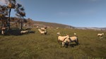 Ancient Cities STEAM•RU ️АВТОДОСТАВКА 0% КАРТЫ - изображение № 2