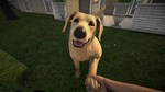 Pets Hotel STEAM•RU ️АВТОДОСТАВКА 0% КАРТЫ - изображение № 4