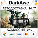 Call of Juarez: Bound in Blood STEAM•RU ️АВТО 0%
