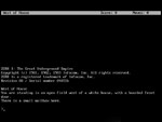 Zork Anthology STEAM•RU ️АВТОДОСТАВКА 0% КАРТЫ - изображение № 3