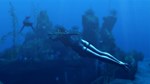 Tomb Raider: Underworld STEAM•RU ️АВТОДОСТАВКА 0% - изображение № 3