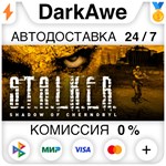 STALKER: Shadow of Chernobyl STEAM•RU ️АВТО 0%