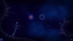 Microcosmum: survival of cells - Campaign 