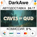 Caves of Qud STEAM•RU ️АВТОДОСТАВКА 0% КАРТЫ