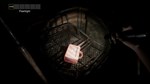 PANICORE +ВЫБОР РЕГИОНА STEAM ️АВТОДОСТАВКА 0% - изображение № 4