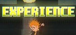 Experience ( Steam Key / Region Free ) GLOBAL ROW