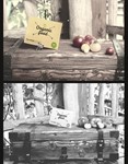 Organic Food Photo Mockup / Vegetables Vol.2 - изображение № 2