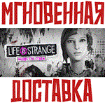 Life is Strange: Before the StormSteam\РФ+Мир\Key +