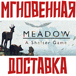MeadowSteam\РФ+ВесьМир\Key⭐ + Бонус