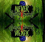 NeverGoingHome  Steam\РФ + Весь Мир\Key⭐