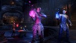 TESO Pyromancer's Quandary Emote KeyКлюч⭐ 0%