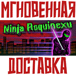 Ninja Roquinexu  Steam\РФ+Весь Мир\Key⭐
