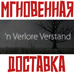 'n Verlore Verstand  Steam\РФ+Весь Мир\Key⭐+ Карточки