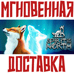 Spirit of the North Steam\РФ+Весь Мир\Key⭐ + Бонус
