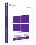 Windows 10 Professional Workstation 1PC