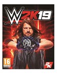 WWE 2K19 (PS4/PS5/RUS) П3-Активация