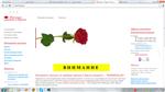1000RUB - Сертификат оплаты на сайте PERMROZA.RU