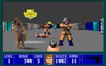 Wolfenstein 3D (Steam Ключ / РФ + Весь Мир)0% - изображение № 2