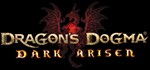 Dragon's Dogma Dark Arisen (Steam Ключ / Россия + Мир)