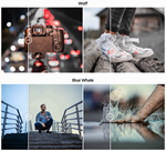 FreeMax Preset Pack 2019. 15 Пресетов для мобильного LR - изображение № 3