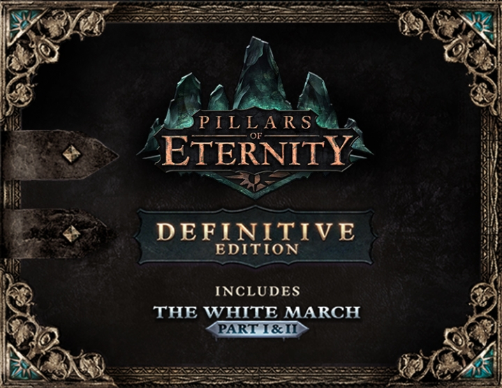 Pillars of Eternity Definitive Edition STEAM KEY RU/CIS
