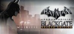Batman: Arkham Origins Blackgate Deluxe Edition STEAM