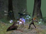 Dungeon Siege II STEAM КЛЮЧ ️РОССИЯ + МИР - изображение № 3