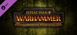 Total War: WARHAMMER - Realm of The Wood Elves STEAM