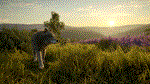 theHunter: Call of the Wild - Cuatro ColinasSTEAM - изображение № 4