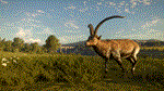 theHunter: Call of the Wild - Cuatro ColinasSTEAM - изображение № 6