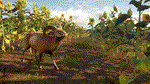 theHunter: Call of the Wild - Cuatro ColinasSTEAM - изображение № 5