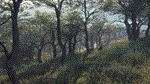 theHunter Call of the Wild - Parque FernandoDLC STEAM - изображение № 4