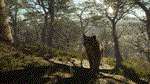 theHunter Call of the Wild - Parque FernandoDLC STEAM - изображение № 5