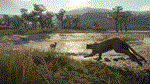 theHunter Call of the Wild - Parque FernandoDLC STEAM - изображение № 6