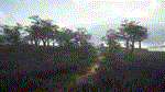 theHunter Call of the Wild - Parque FernandoDLC STEAM - изображение № 3