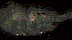 Rain World STEAM КЛЮЧ ️РОССИЯ + МИР - изображение № 5