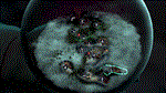 The Serpent Rogue STEAM КЛЮЧ ️РОССИЯ + МИР - изображение № 2