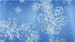 Snowflake 1 code activation