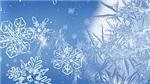 Snowflake 2 code activation