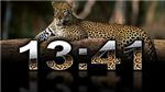 Clock Digital Leopard code activation