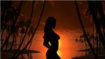 Dancing at sunset screensaver code activation