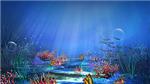 Aqua v1 Screensaver code activation