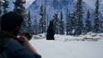 ️OPEN COUNTRY️XBOX ONE|XSКЛЮЧ - изображение № 3