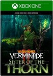 WARHAMMER: VERMINTIDE 2 - SISTER OF THE THORNXBOX