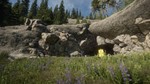 THEHUNTER™ CALL OF THE WILD - SILVER RIDGE PEAKSXBOX - изображение № 4