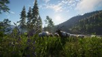 THEHUNTER™ CALL OF THE WILD - SILVER RIDGE PEAKSXBOX - изображение № 7