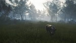 ️THEHUNTER™ - TE AWAROA NATIONAL PARK️XBOXКЛЮЧ - изображение № 5