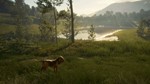 ️THEHUNTER: CALL OF THE WILD - BLOODHOUND️XBOXКЛЮЧ - изображение № 3