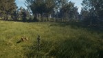 ️THEHUNTER: CALL OF THE WILD - BLOODHOUND️XBOXКЛЮЧ - изображение № 5